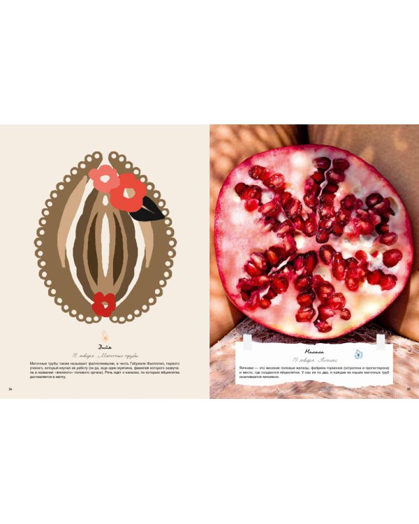 My Dear Vagina: Интимный дневник 365 вульв