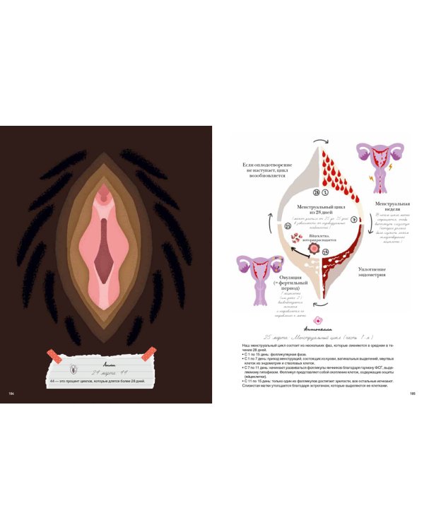 My Dear Vagina: Интимный дневник 365 вульв