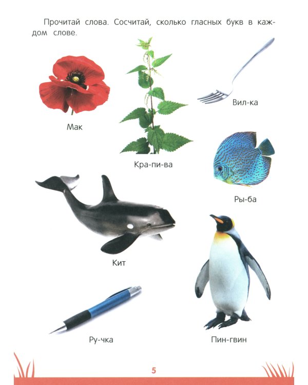 Энциклопедия дошкольника: 6-7 лет