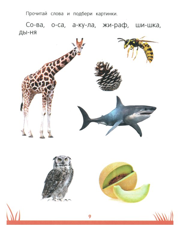 Энциклопедия дошкольника: 6-7 лет