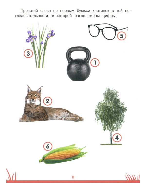 Энциклопедия дошкольника: 6-7 лет