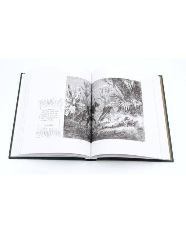 Гауф В. : Сказки. В 2 т