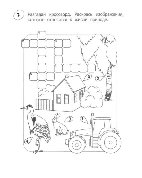 Кроссворды-раскраски по окружающему миру для детей 7-10 лет