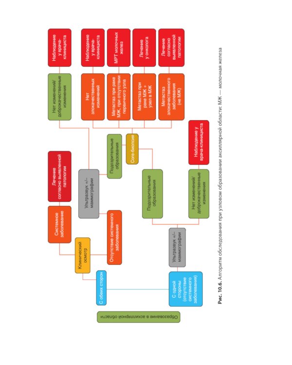 Атлас-путеводитель по медицинским изображениям молочной железы. Тестовые модули и контрольные задания