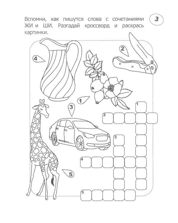 Кроссворды-раскраски по русскому языку для детей 7-10 лет