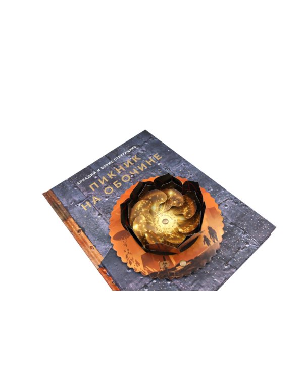 Пикник на обочине