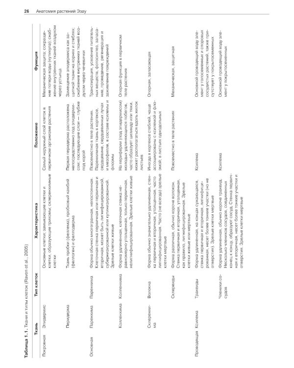 Анатомия растений Эзау: меристемы, клетки и ткани растений: строение, функции и развитие