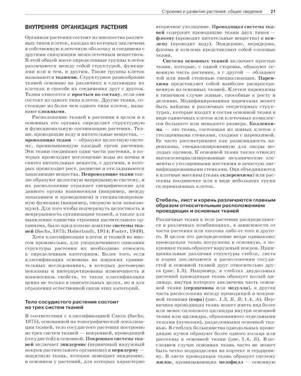 Анатомия растений Эзау: меристемы, клетки и ткани растений: строение, функции и развитие