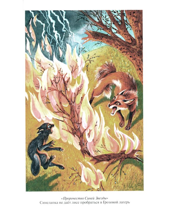Коты-воители. Пророчество Синей Звезды