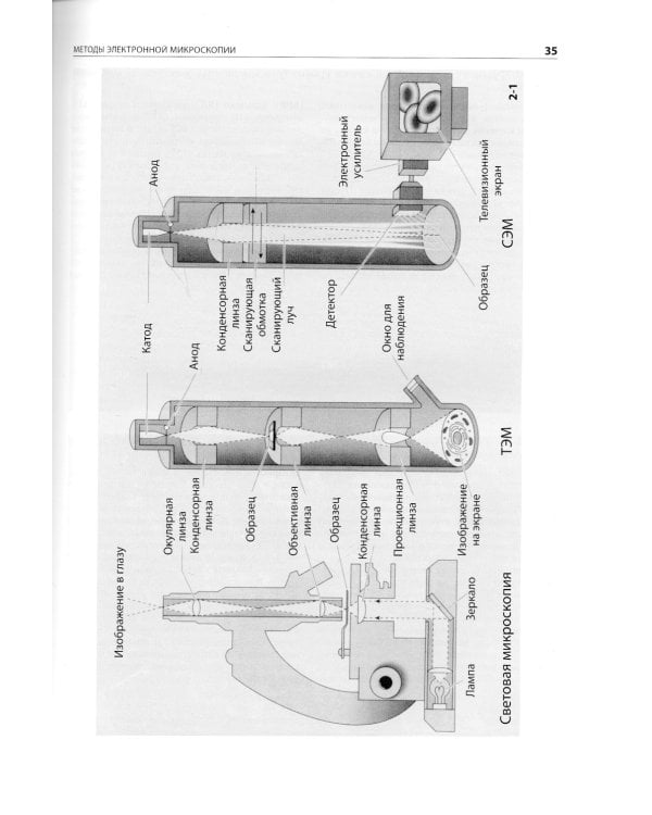 Цитология. Функциональная ультраструктура клетки. Атлас: Учебное пособие