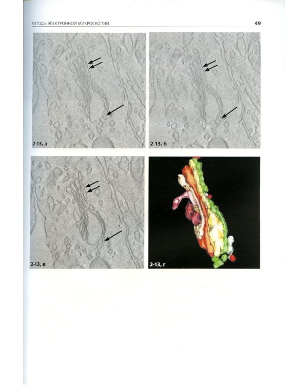 Цитология. Функциональная ультраструктура клетки. Атлас: Учебное пособие