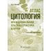 Цитология. Функциональная ультраструктура клетки. Атлас: Учебное пособие