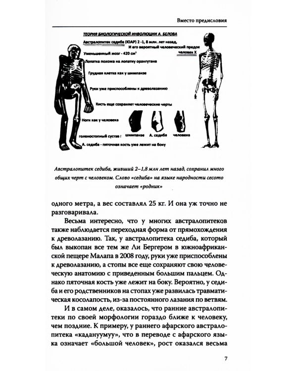 Запрещенная палеонтология. Динозавр произошел от человека! Теория биологической инволюции