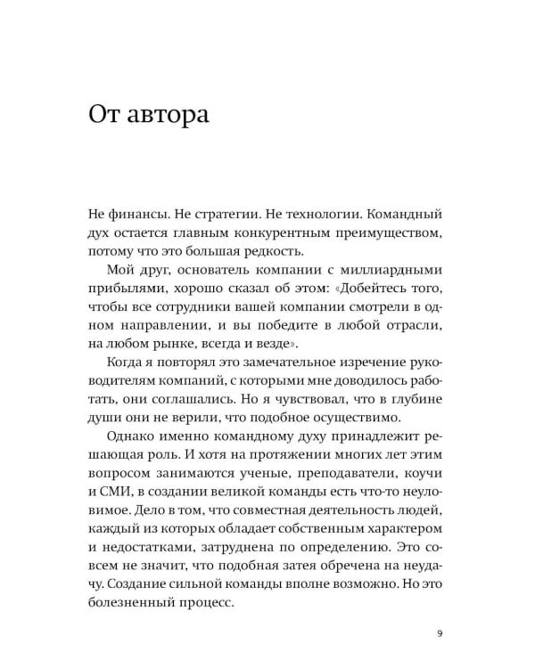 Пять пороков команды. Бизнес-роман