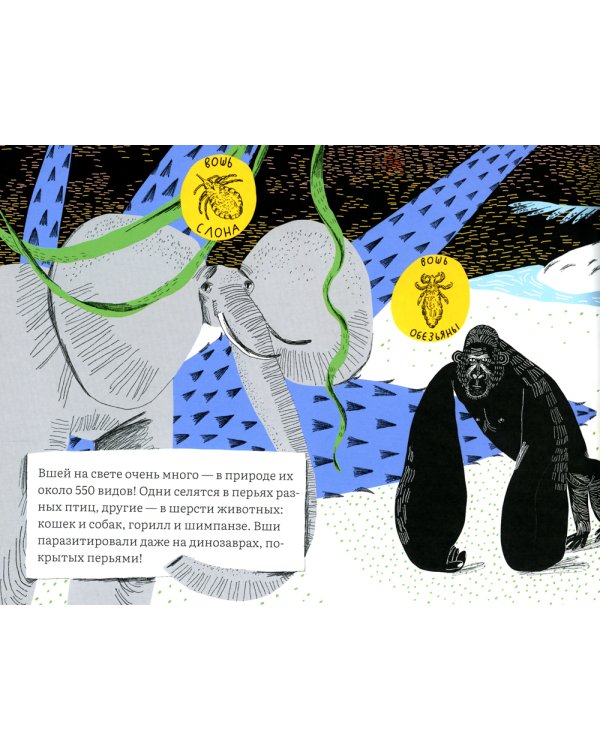 Почему голова чешется?