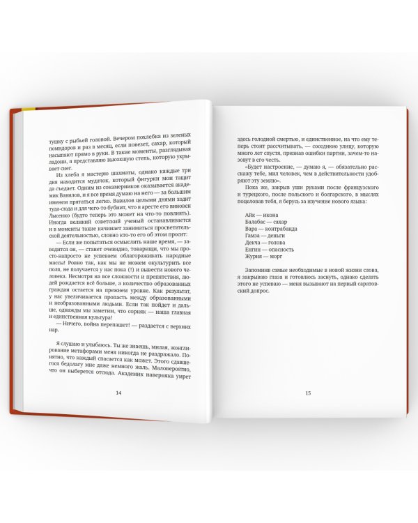 Кремулятор: роман