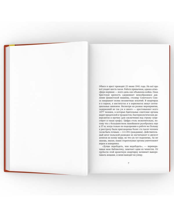 Кремулятор: роман