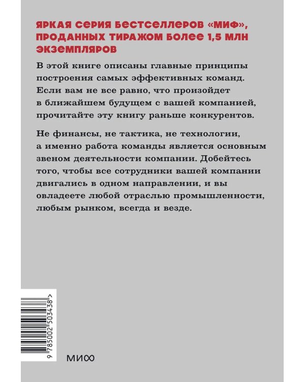 Пять пороков команды. Бизнес-роман