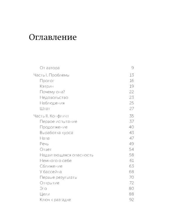 Пять пороков команды. Бизнес-роман