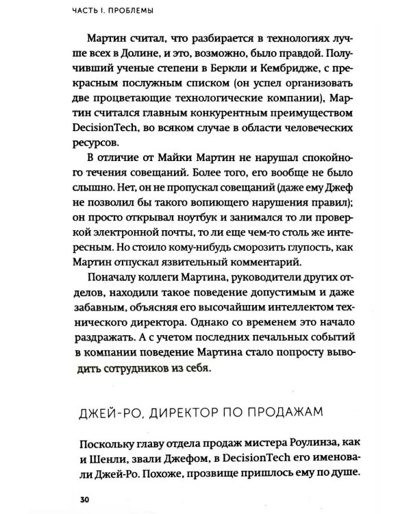 Пять пороков команды. Бизнес-роман