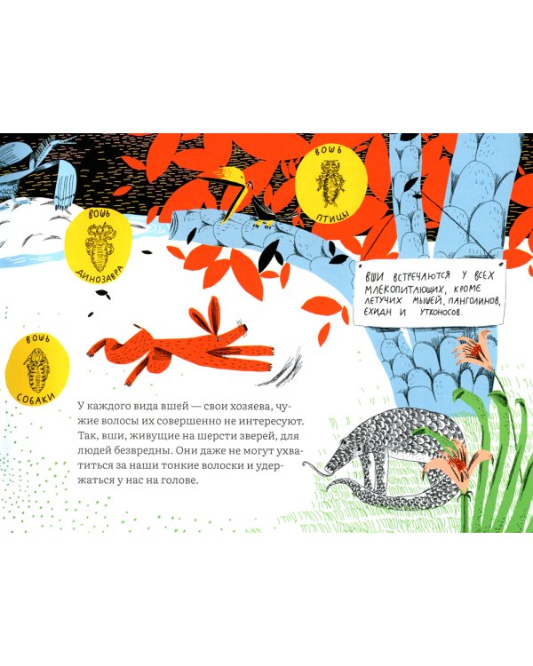 Почему голова чешется?