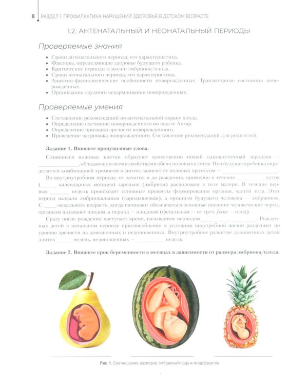 Здоровый образ жизни и профилактика заболеваний в разные возрастные периоды. Рабочая тетрадь: Учебное пособие