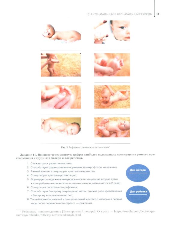 Здоровый образ жизни и профилактика заболеваний в разные возрастные периоды. Рабочая тетрадь: Учебное пособие