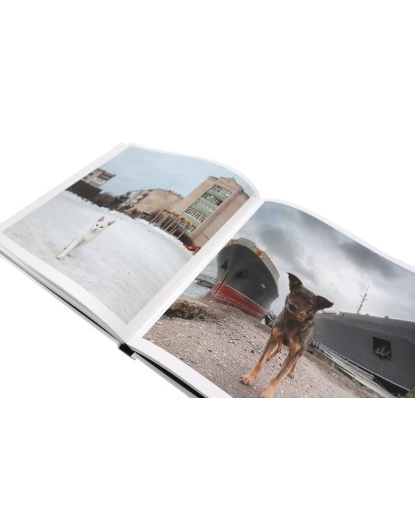 Россия в квадрате; Черновик; Фотография как; Плоскость и пространство (комплект из 4-х книг)