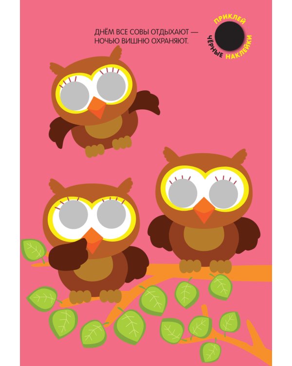 Кружочки. Набор из 4 кн