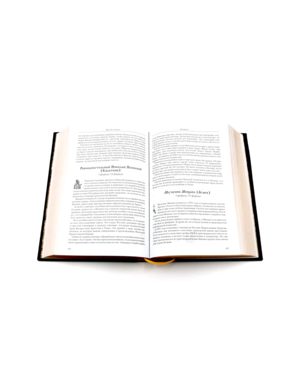 Жития святых. православное семейное чтение (кожа, золот.тиснен., цв.светло-серый)