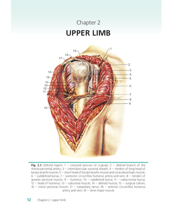 Topographic and clinical anatomy of the human body: the teaching aid for foreign students