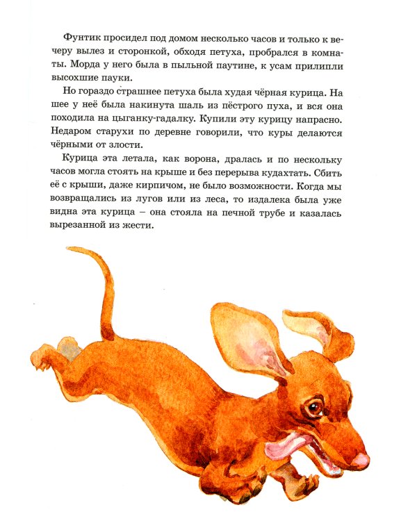 Рассказы о животных