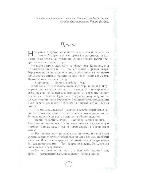 Коты-воители. Длинные тени. Восход солнца