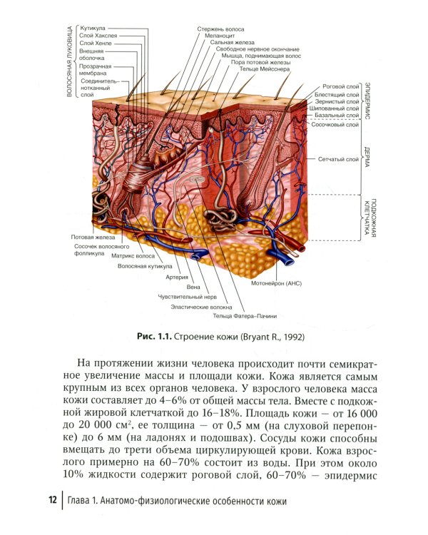 Лечение травматической отслойки и дефектов покровных тканей. 2-е изд., перераб. и доп