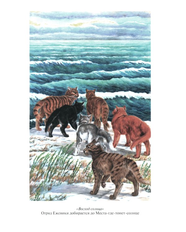 Коты-воители. Длинные тени. Восход солнца
