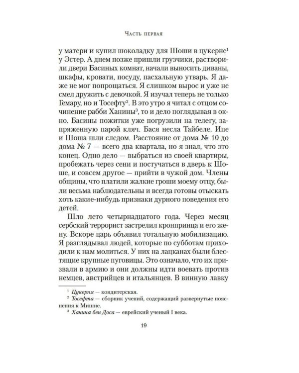 Шоша: роман