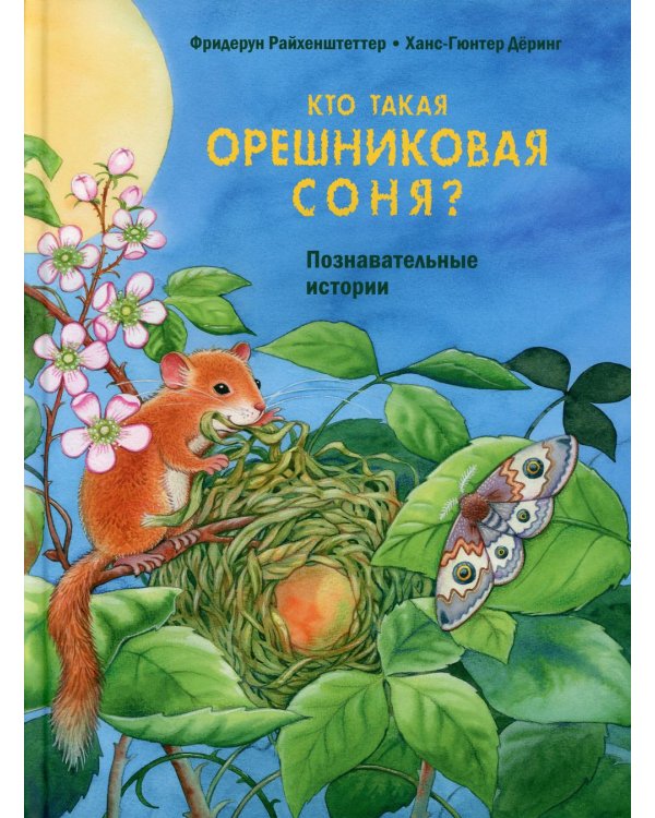 Кто такая орешниковая соня? Познавательные истории