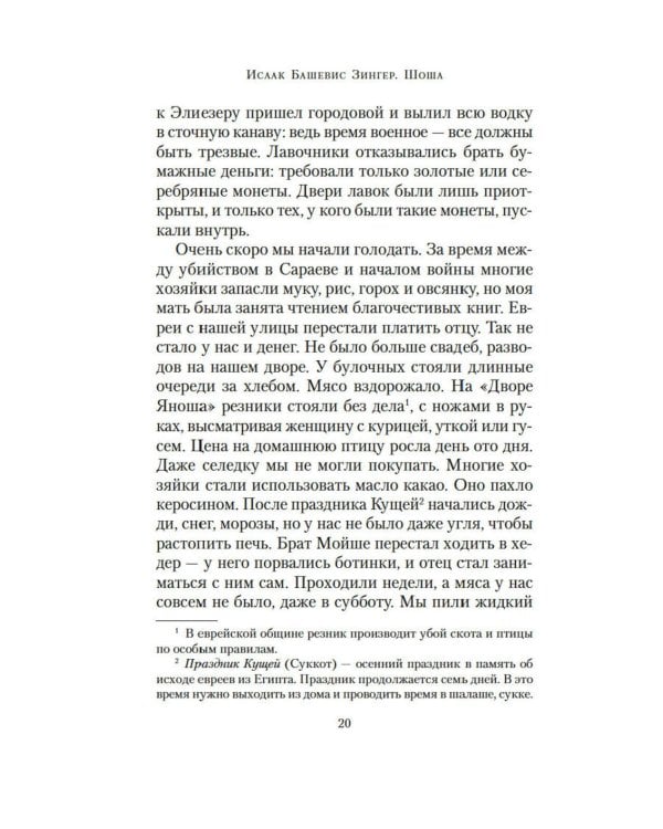 Шоша: роман