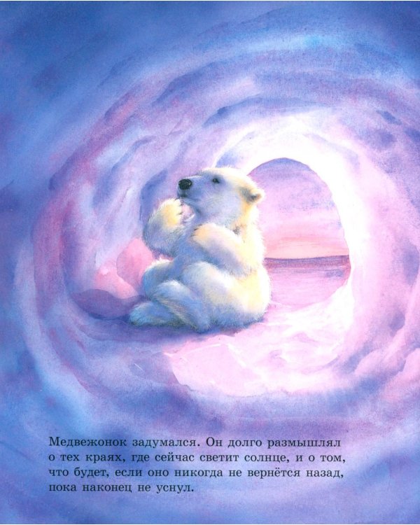 Как медвежонок солнце искал