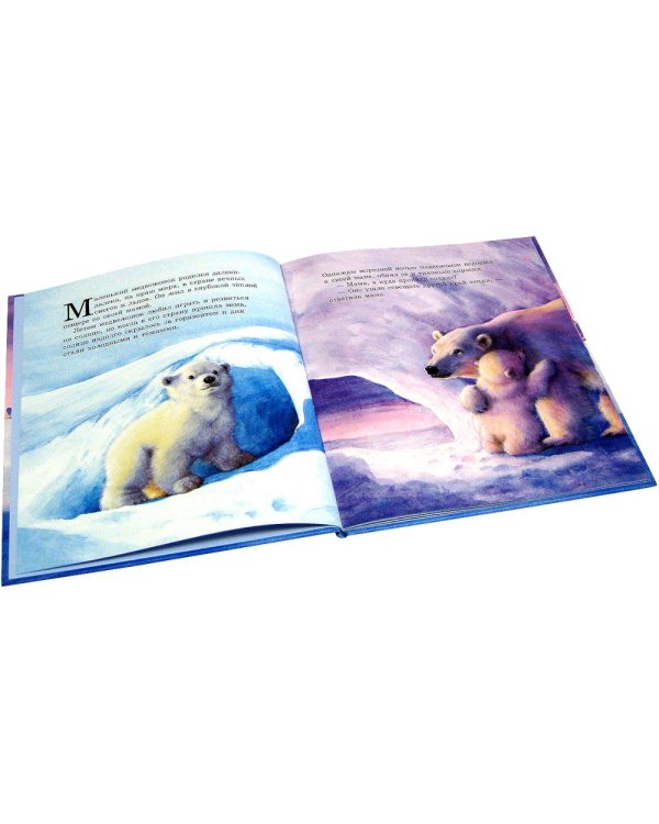 Как медвежонок солнце искал