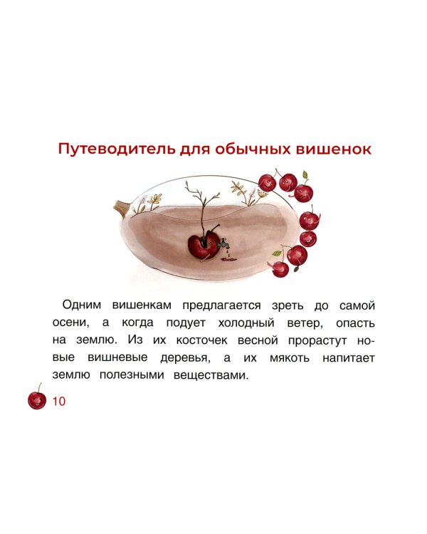 Вишенка, которая мечтала стать главной вишенкой на торте