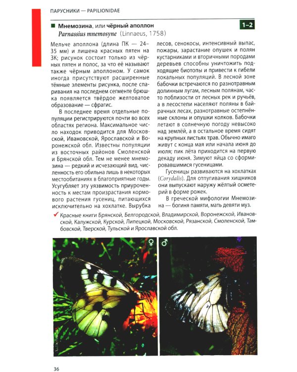 Дневные бабочки Центральной России: Фотоопределитель