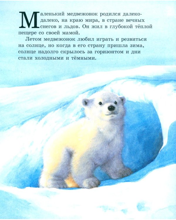 Как медвежонок солнце искал