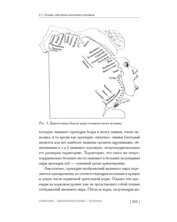 Социогеном - Образованный человек - Вселенная. 2-е изд