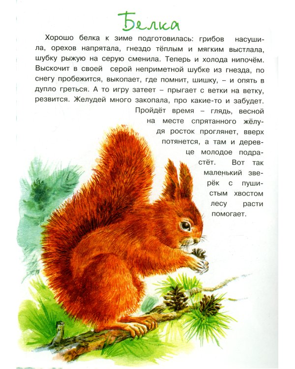 Комплект. Для самых-самых маленьких. (в 3 кн.)