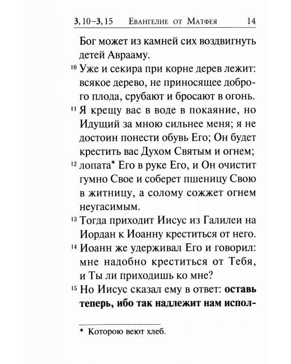 Святое Евангелие (крупный шрифт) 4-е изд