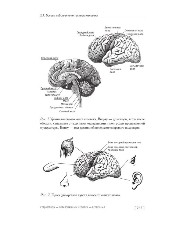 Социогеном - Образованный человек - Вселенная. 2-е изд