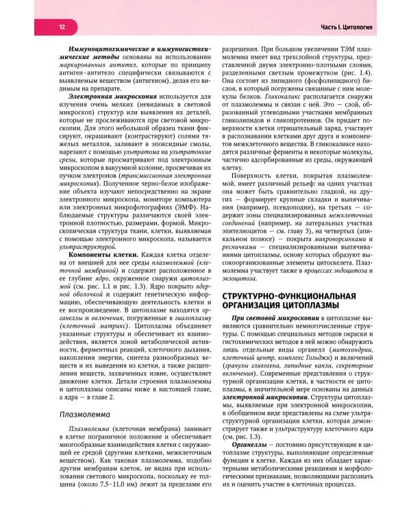 Атлас по гистологии, цитологии и эмбриологии : Учебное пособие