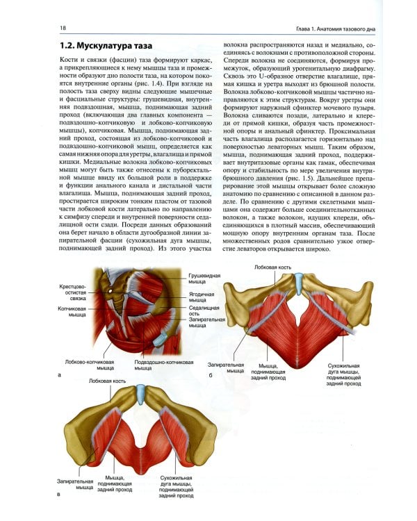 Атлас реконструктивной хирургии влагалища