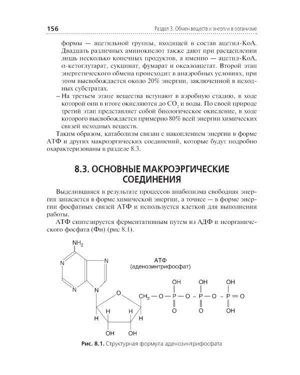 Теория и практика лабораторных биохимических исследований: Учебник